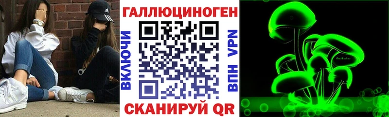 Псилоцибиновые грибы мицелий Холмск