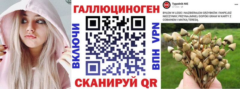 Галлюциногенные грибы Psilocybine cubensis  Купить где  Холмск 